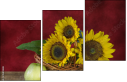 45812888