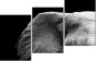 46583459