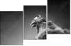 49654340