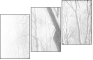 5173764