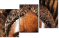 52004103