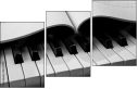 52337915