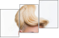 56309569