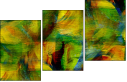 58509769