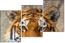 59798134