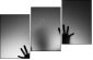 65905170