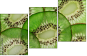 78577804