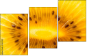 78671231
