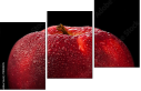 78900295