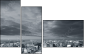 11361747