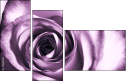 11865044