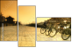 16482031