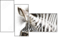 17246984