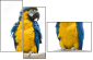 18738718