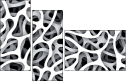 20505205
