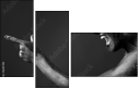26417303