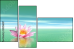 29216817