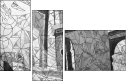 31753074