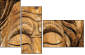 35042971