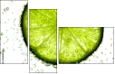36604434