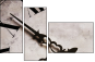3950638