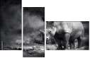 40411231