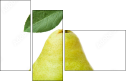 42343029