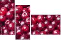 43026743