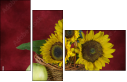 45812888