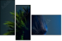 50564432