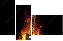 51795324