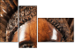 52004103