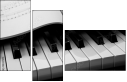52337915