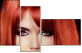 53895869