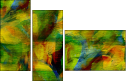 58509769