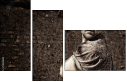59261844