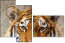 59798134