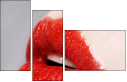 60543232