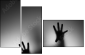 65905170