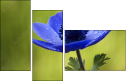 6756687