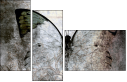 73878760