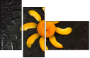 76101824