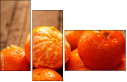 76269505