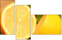 78139394