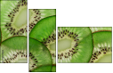 78577804