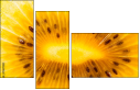 78671231