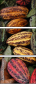11160772