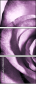 11865044