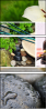 12445370
