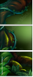 134186592